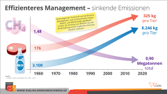 Effizientes Management