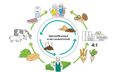 Nährstoffkreislauf in der Landwirtschaft