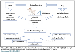 Exploring the health benefits and functional properties of goat milk proteins