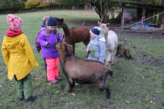 (c)Foto: Sabine Kolz | Schon die Kleinsten lernen hier den Umgang mit Tieren. Immer mehr Kinder wissen heute nichts mehr über das Leben und Arbeiten auf einem Bauernhof und nicht, wie unsere Nahrungsmittel erzeugt werden. Hier bekommen sie es mit viel pädagogischem Know-how gezeigt. Und das Wichtigste, sie dürfen es auch selber tun – mit Kopf, Herz und Hand.