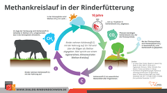 Methankreislauf In Der Rinderfütterung