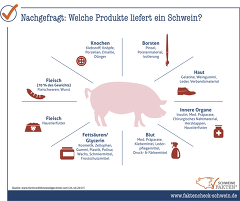 26 Produkte Vom Schwein