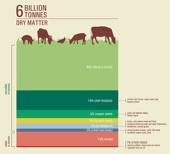 Livestock: On our plates or eating at our table? A new analysis of the feed/food debate