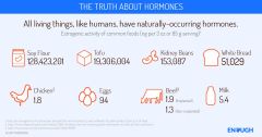 The Truth About Hormones