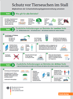 Plakat Biosicherheit Schweinehaltungshygiene-VO (BMEL)