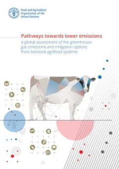 Pathways towards lower emissions: A global assessment of the greenhouse gas emissions and mitigation options from livestock agrifood systems