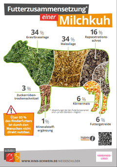 Weideschild Futterzusammensetzung Milchkuh