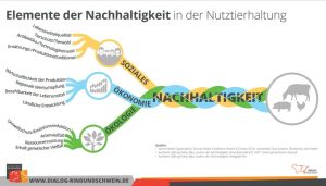 Elemente Der Nachhaltigkeit In Der Nutztierhaltung