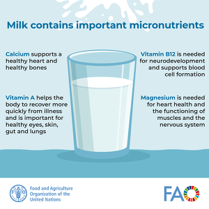 Milk contains important micronutrients (FAO)